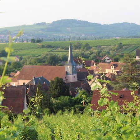 A L'Oree Des Vignes, Superbe Logement De 80 M2 Wangen Экстерьер фото