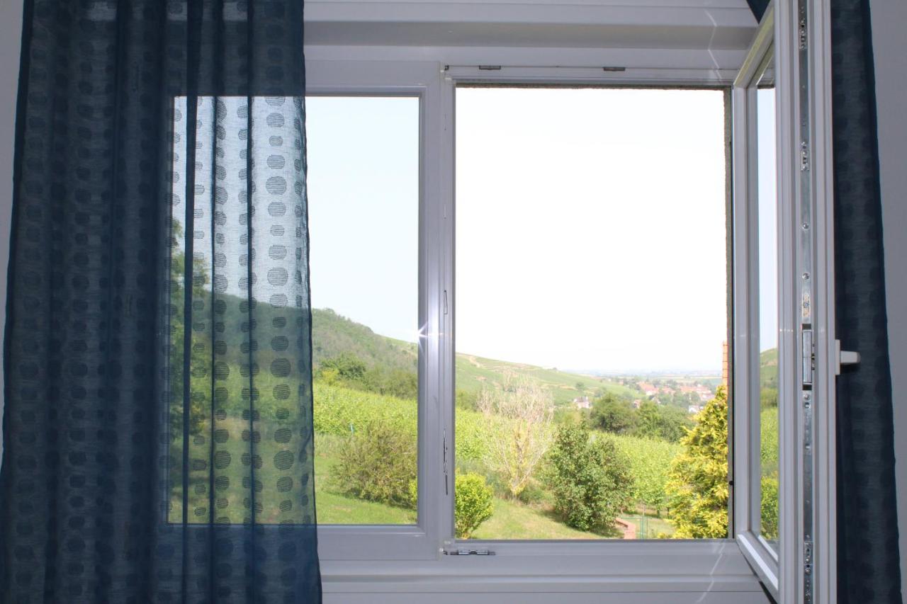 A L'Oree Des Vignes, Superbe Logement De 80 M2 Wangen Экстерьер фото