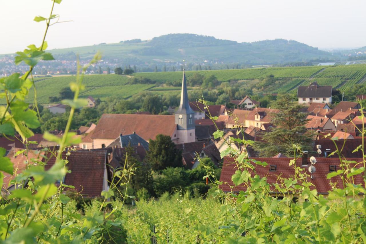 A L'Oree Des Vignes, Superbe Logement De 80 M2 Wangen Экстерьер фото